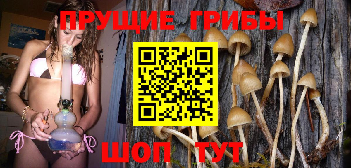 Псилоцибиновые грибы Cubensis  даркнет сайт  Оренбург  Вход с VPN 