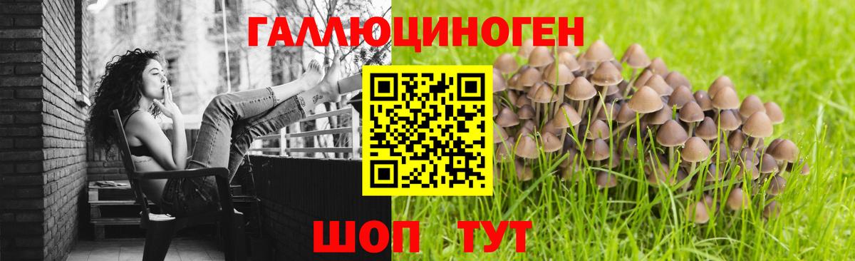 Псилоцибиновые грибы прущие грибы Оренбург